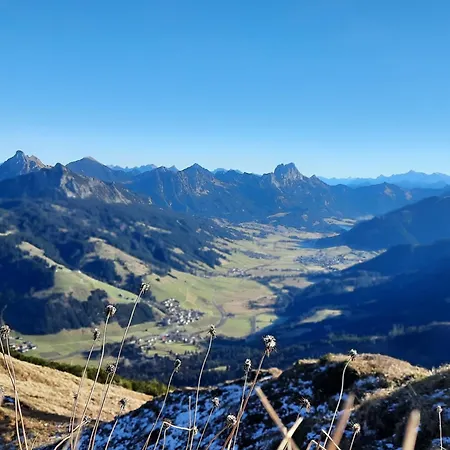 Haus Alpenblick Apartment