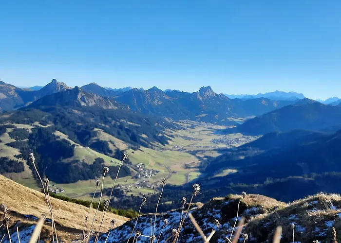 Haus Alpenblick Apartment